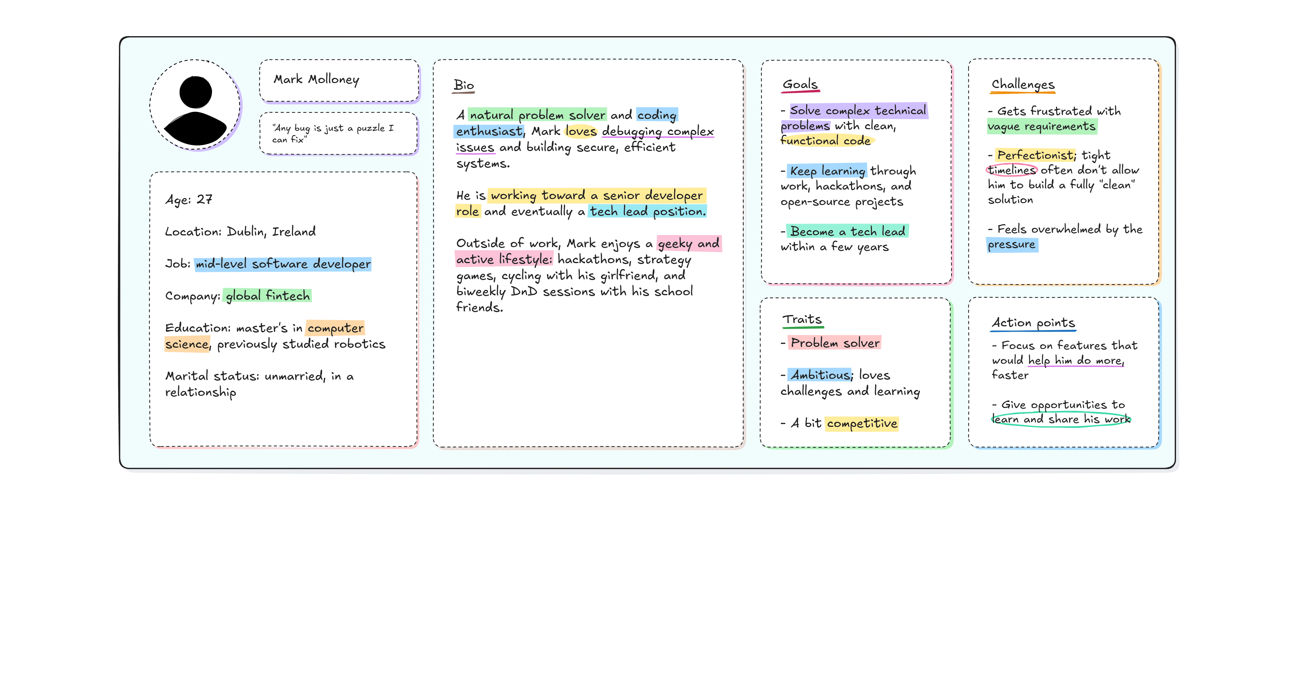 An example of a user persona for a software developer customer